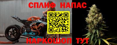 шишки Тула